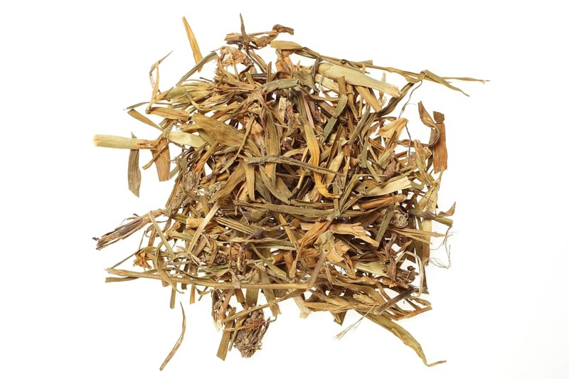 Medicinal plant carnation,