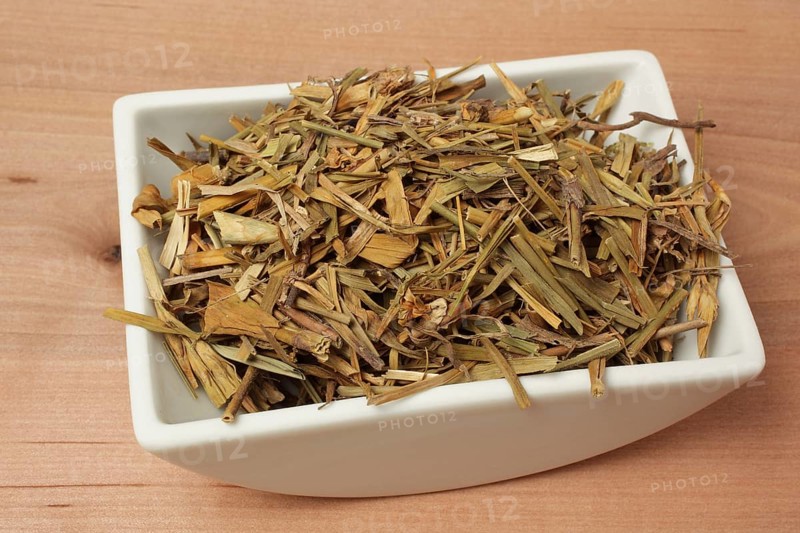 Medicinal plant carnation,