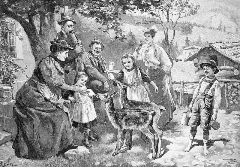 Two motherless fawns are being bottle-fed in the farmer's family, Bavaria