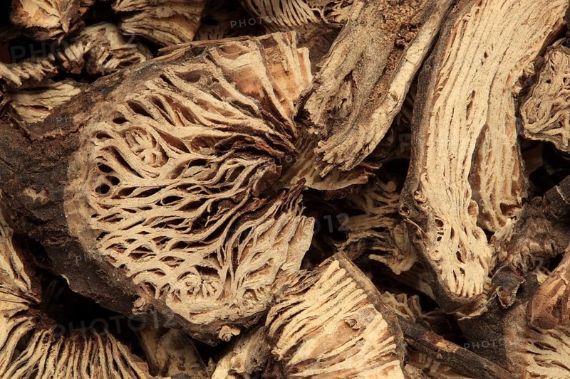 Medicinal plant Black cohosh, dried root