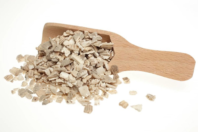 Naturopathy, Red-fleshed Ark Mussel Shells