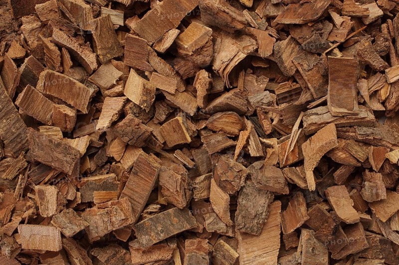 Bark of the medicinal plant coral tree, coral shrub