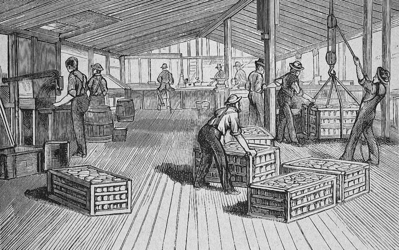 Thurber & Co canning factory in Moorestown, New Jersey