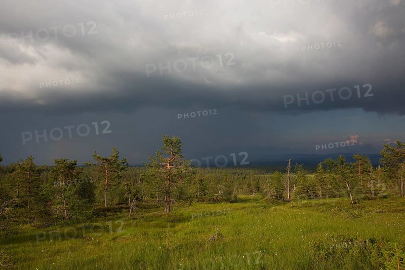 Riisitunturi with thunderstorm atmosphere, Riisitunturi National Park