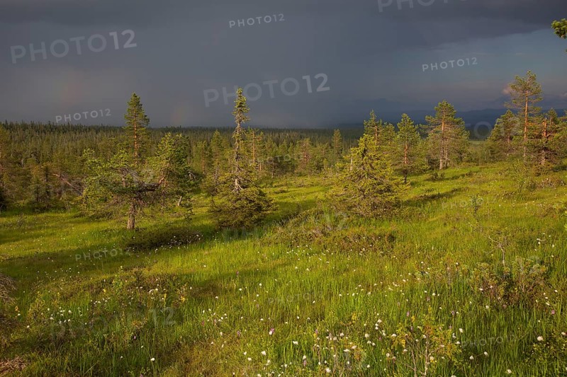 Riisitunturi with thunderstorm atmosphere, Riisitunturi National Park