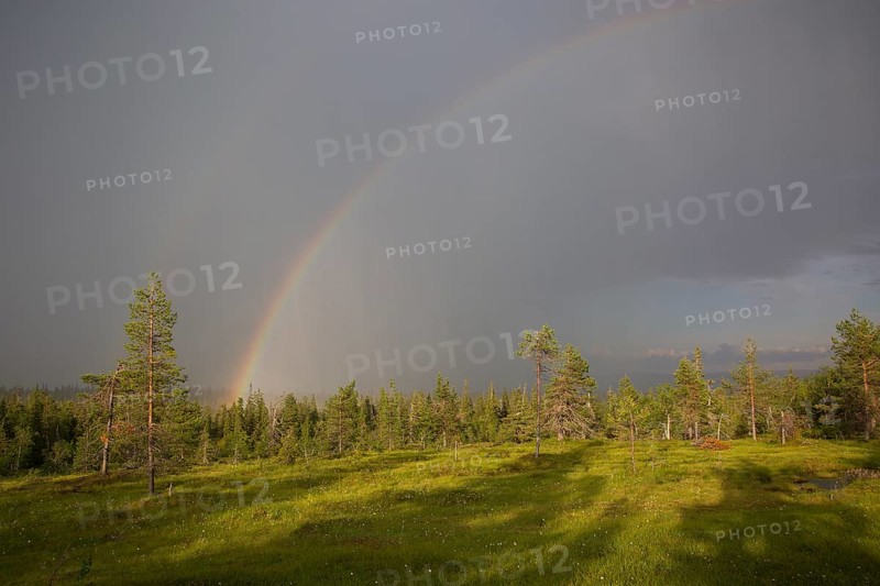 Riisitunturi with thunderstorm atmosphere and rainbow, Riisitunturi National Park