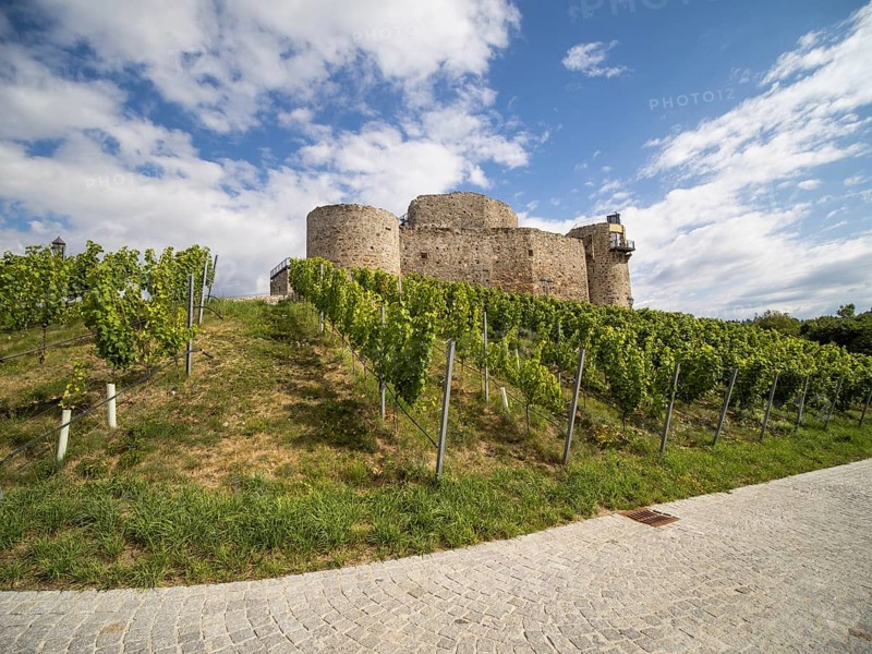Taggenbrunn Castle, near St. Veit