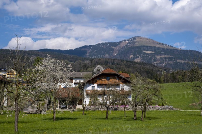 Farms, behind the Schlenken