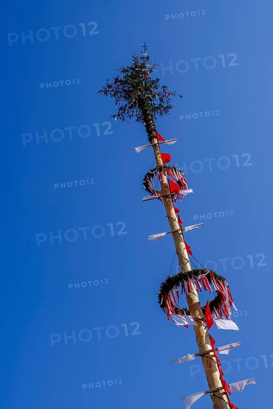 Maypole, Obernberg am Inn