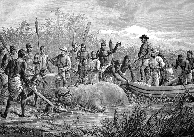 Hunting hippo in Angola in West Africa, the killed animal is surrounded by the hunting party and local hunting assistants