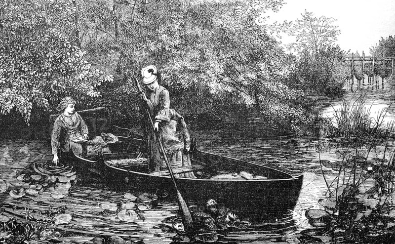 Two woman in a rowing boat on a pond with many water lilies, digitally restored reproduction of an original from the 19th century