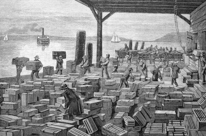 Shipment of grapes in America, stacking yard with crates of fresh grapes to be loaded onto a steamer
