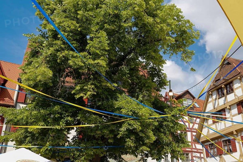 Festival in the Gerber and Fishermen's Quarter, decorated tree
