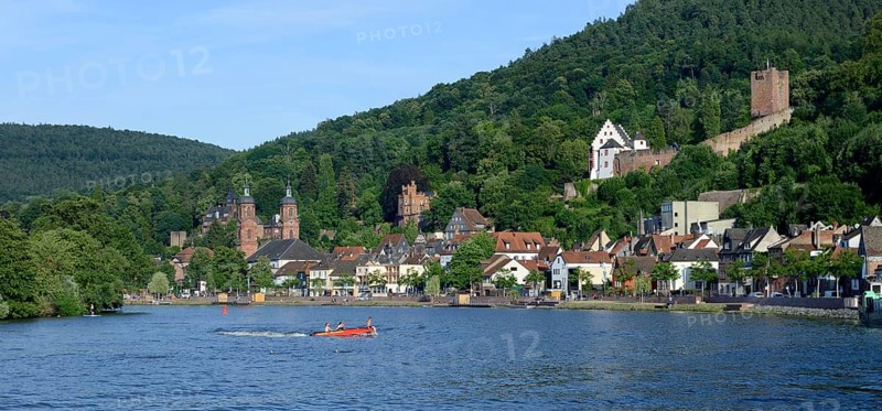 View of the town of Miltenberg with Main, Lower Franconia
