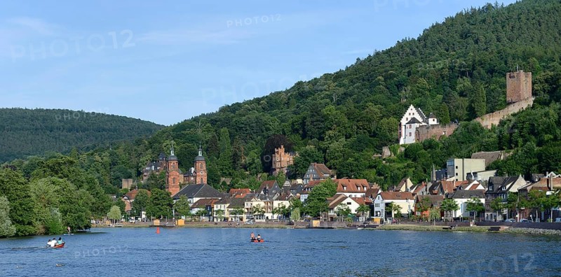 View of the town of Miltenberg with Main, Lower Franconia