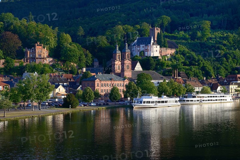 View of the town of Miltenberg with Main, Lower Franconia