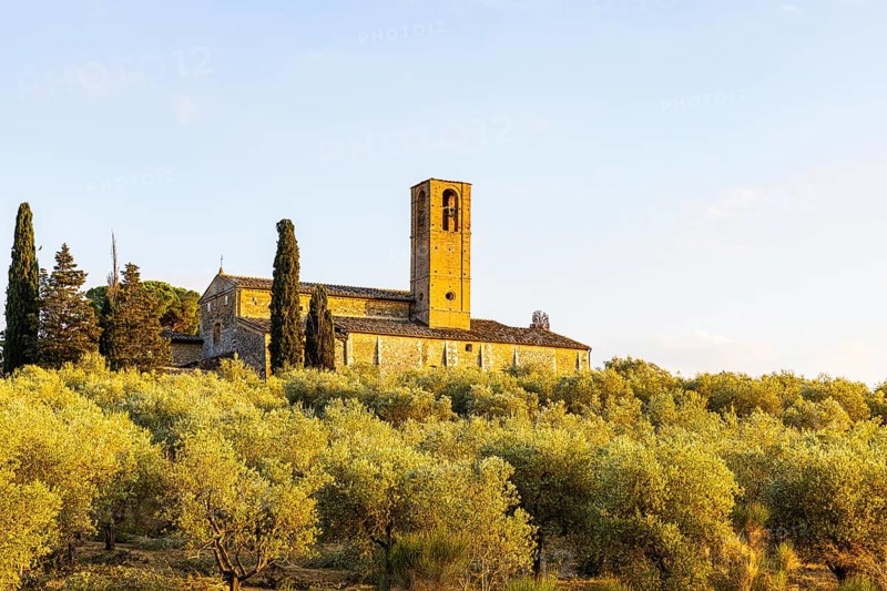 Church of Santa Lucia framed by olive trees,