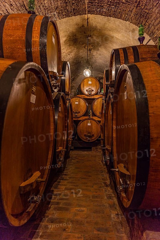 Wine barrels in the Cantucci winery cellar, Montepulciano