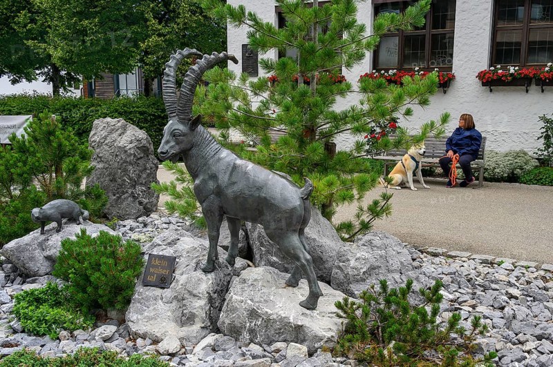 Ibex figure, Riezlern