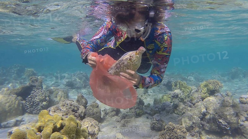 Woman in diving equipment swims and collects plastic debris underwater on the bottom of coral reef. Snorkeler cleaning Ocean from plastic pollution. Plastic pollution of the Ocean. Red sea, Egypt