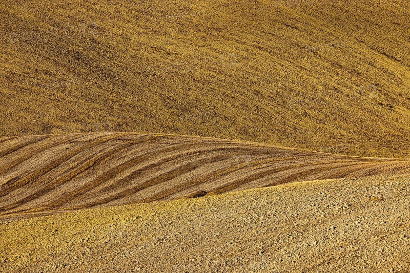 Field after harvest in hilly landscape, near Asciano
