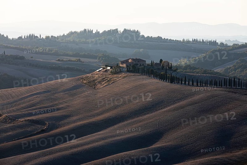 Country house with cypress avenue, in hilly landscape