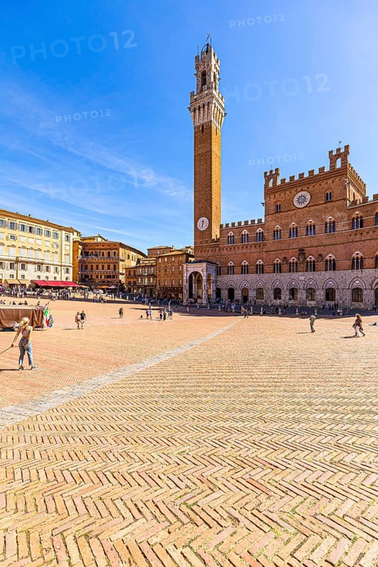 Piazza del Campo with the Torre del Mangia bell tower, Siena