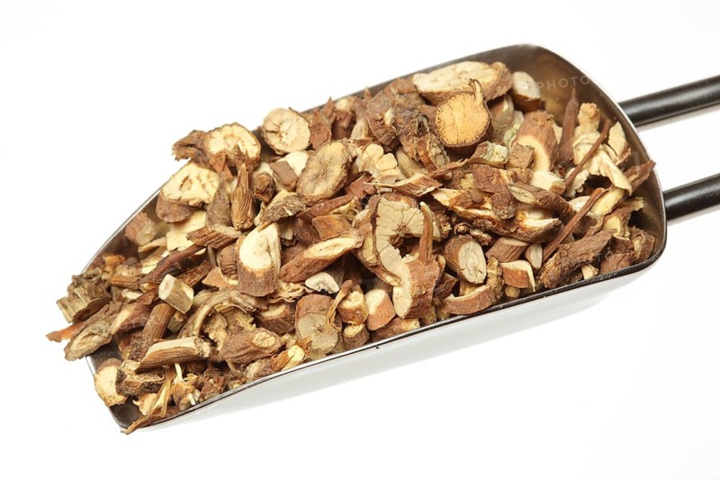 Medicinal plant Thorow-wax, Hare's ear