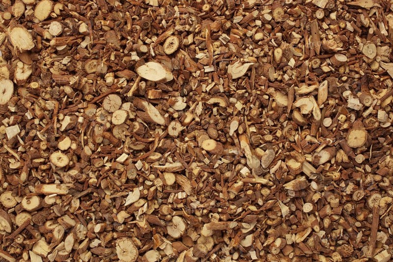 Medicinal plant Thorow-wax, Hare's ear