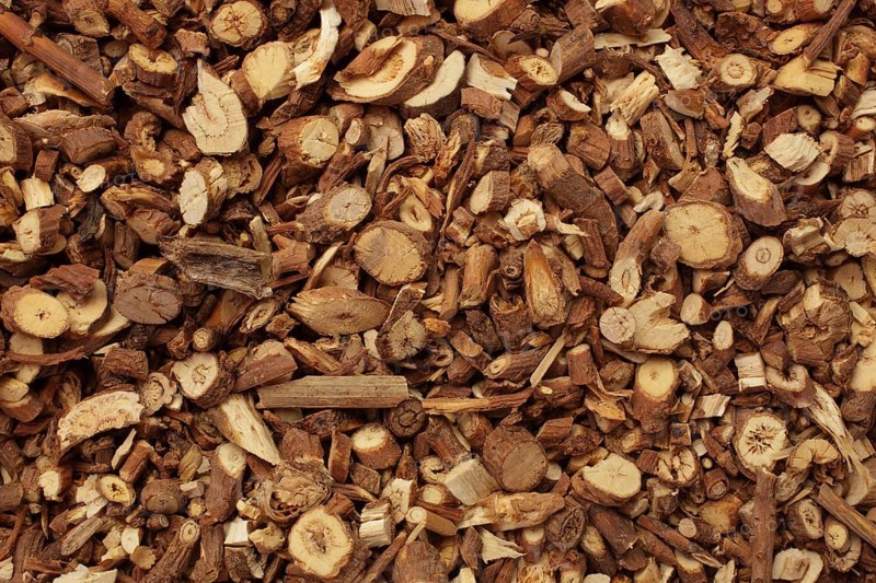 Medicinal plant Thorow-wax, Hare's ear
