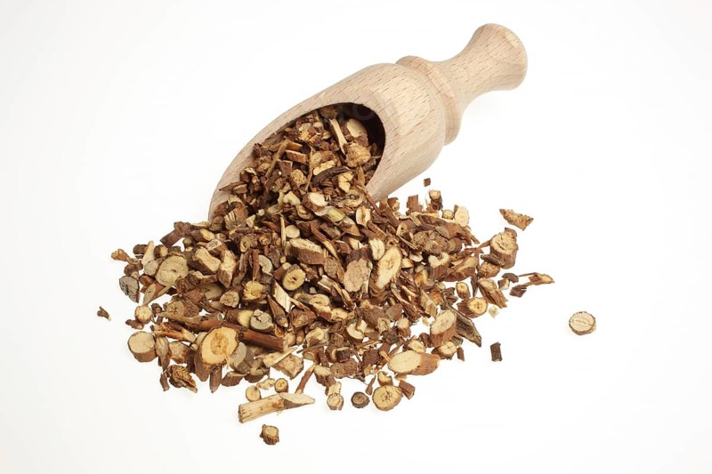 Medicinal plant Thorow-wax, Hare's ear
