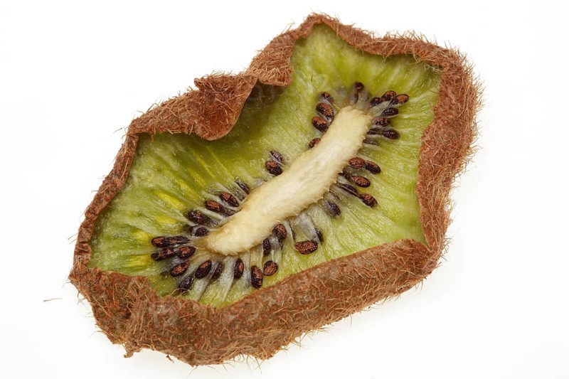 Dried kiwi slice,