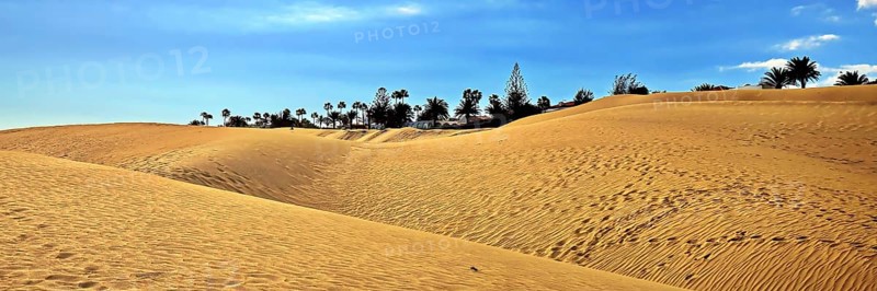 The dunes of Playa Del Ingles with a view of the oasis. San Bartolome de Tirajana, Gran Canaria