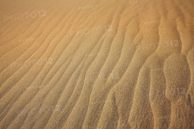 The dunes of Playa Del Ingles in detail. San Bartolome de Tirajana, Gran Canaria