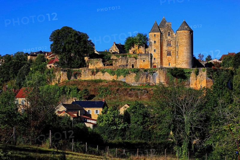 Chateau de Salignac, Salignac Castle