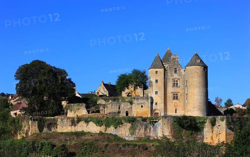 Chateau de Salignac, Salignac Castle