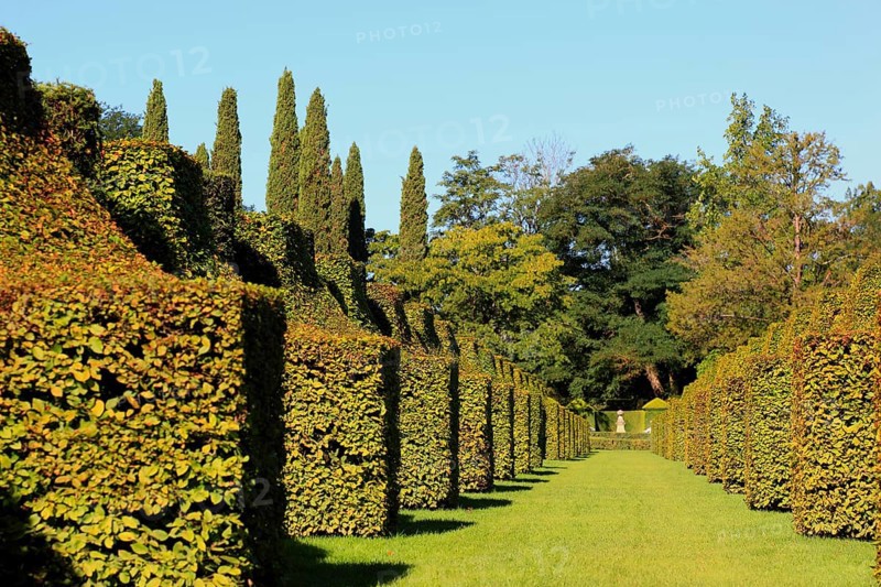Jardins du Manoir d'Eyrignac, Gardens of the Manoir d Eyrignac