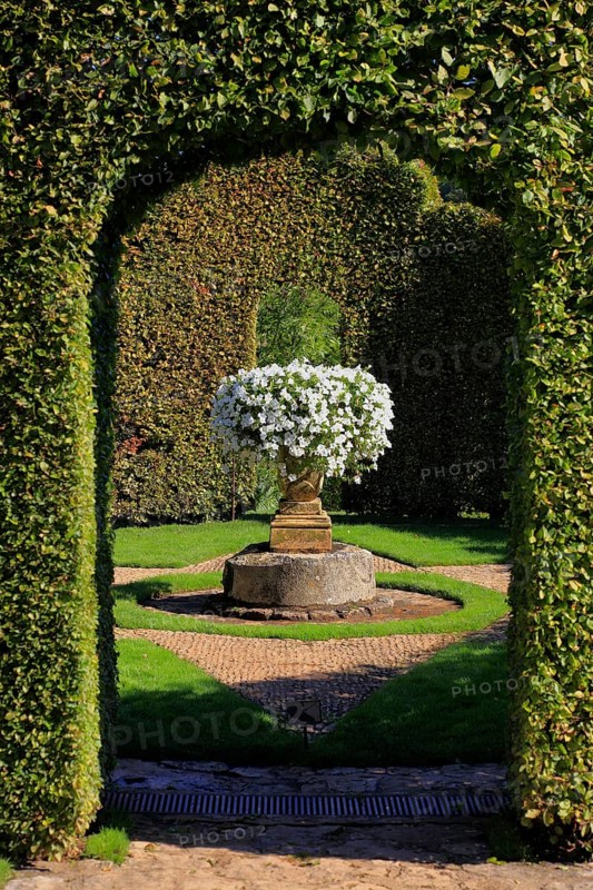 White petunias in a historic flower pot, Jardins du Manoir d'Eyrignac