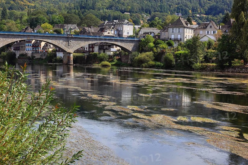 Argentat on the Dordogne, Correze department