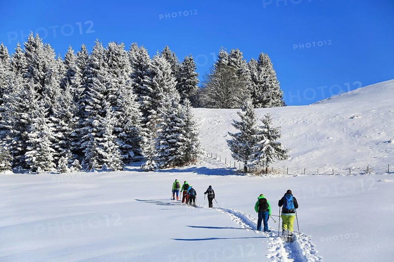 Snowshoe hike on the Beilenberg in a wonderful winter landscape. Sonthofen, Upper Allgaeu