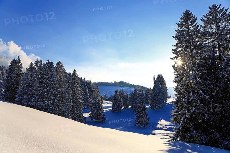 Wonderful winter landscape in the backlight. Sonthofen, Oberallgaeu