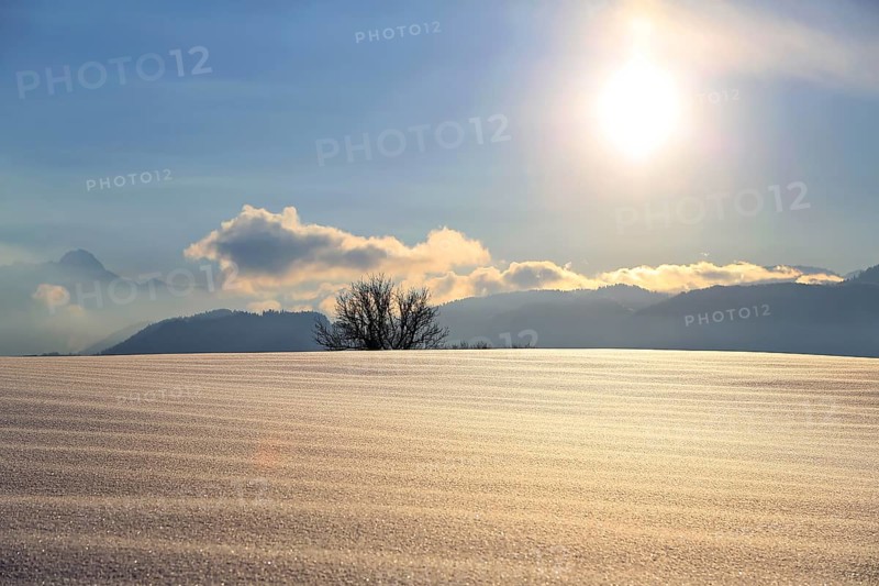 Wonderful winter landscape in the backlight. Sonthofen, Oberallgaeu