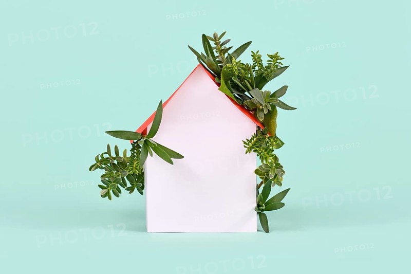 Concept for energy efficiency and carbon neutrality in buildings by using green construction designs and renewable energy showing house with leaves,