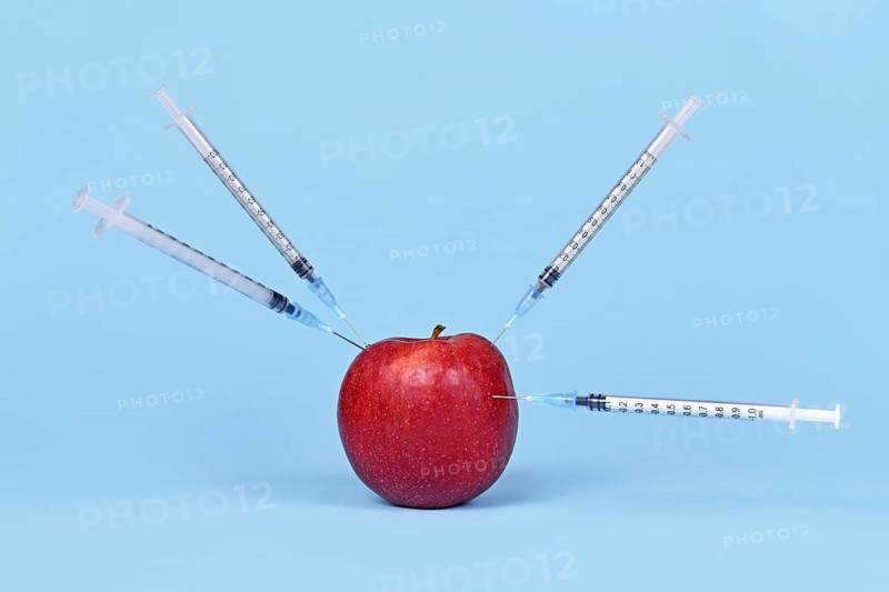 Apple being injected with syringes. Concept for genetically modified organism,