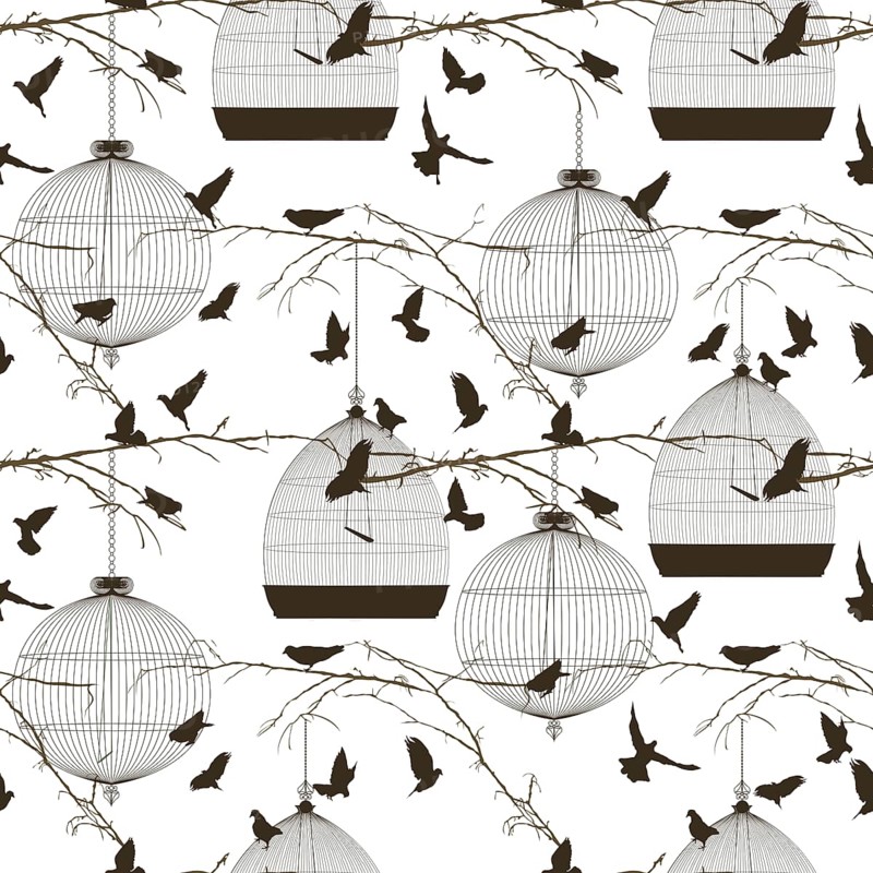 Vector seamless pattern with birds and cages,