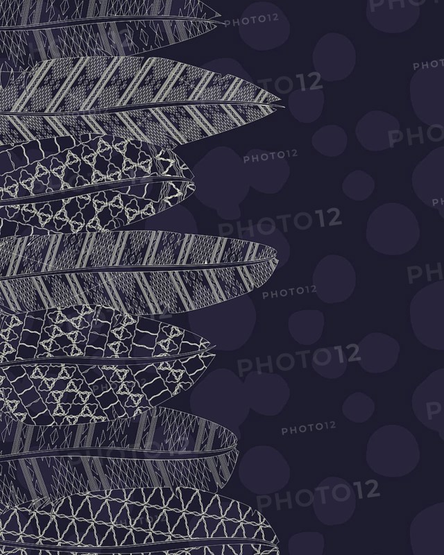 Vector background with boho style feathers and room for text,