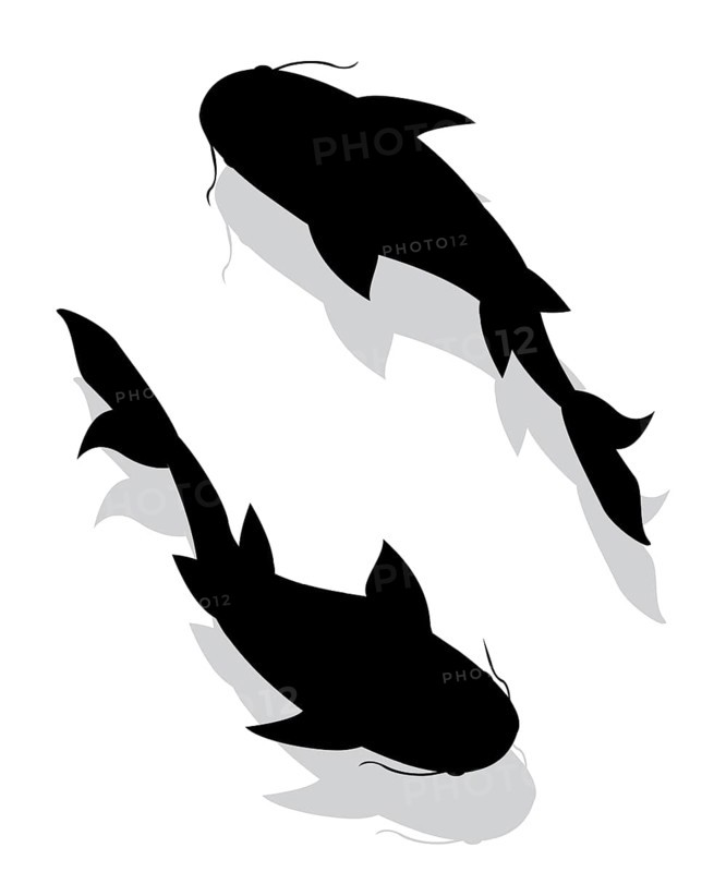Two fishes silhouettes vectors over white background,