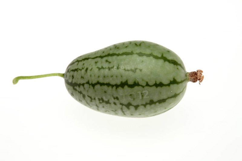 Melothria scabra,