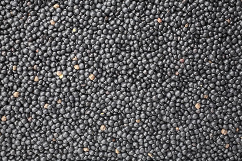 Black beluga lentils,
