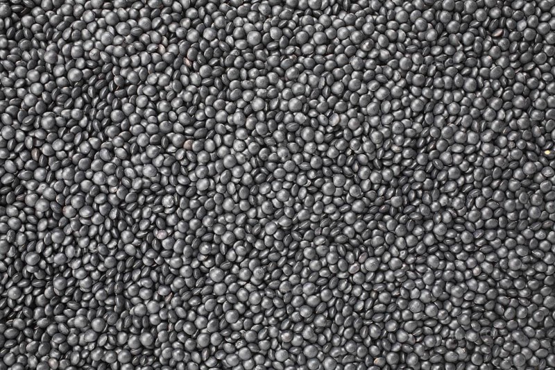 Black beluga lentils,